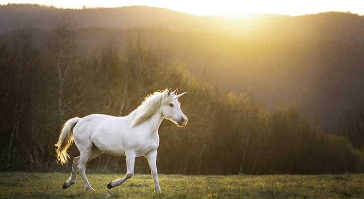 today’s-real-estate-market:-the-‘unicorns’-have-galloped-off